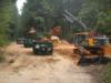 Excavation and removal of 1,620 tons of contaminated soil at Anniston Army Ammunition Depot, AL.