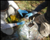 Soil sampling team collecting samples for testing.