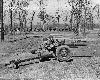 Camp Forrest One, from Tullahoma News