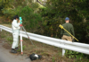 UXO Avoidance as Surveyors Plot Transects during Range Construction, Okinawa, Japan