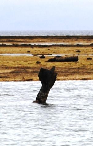 Rocket sticking out of water