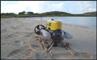 ROV on Beach