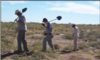 UXO Team with Analog Sensors Performing a Clearance